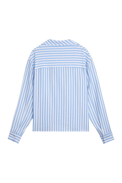 Cropped Blue Shirt